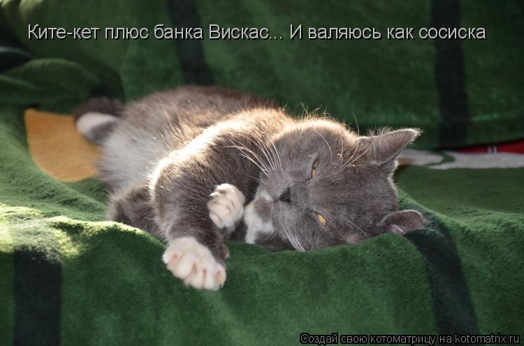 Ките-кет плюс банка Вискас... И валяюсь как сосиска... Котоматрица: Ките-кет плюс банка Вискас... И валяюсь как сосиска