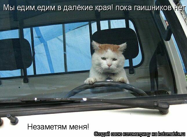 Мы едим,едим в далёкие края! пока гаишников, нет и не пальнут нас! Мы едим,едим в далёкие края! пока ... Котоматрица: Мы едим,едим в далёкие края! пока гаишников, нет и не пальнут нас! Мы едим,едим в далёкие края! пока гаишников нет ! Незаметям меня!
