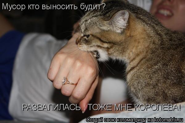 Мусор кто выносить будит? РАЗВАЛИЛАСЬ ТОЖЕ МНЕ КОРОЛЕВА!... Котоматрица: Мусор кто выносить будит? РАЗВАЛИЛАСЬ ТОЖЕ МНЕ КОРОЛЕВА!