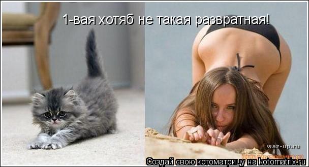 1-вая хотяб не такая развратная!... Котоматрица: 1-вая хотяб не такая развратная!