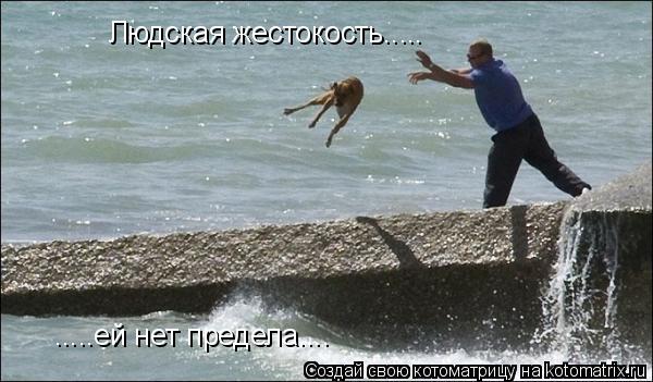 Людская жестокость..... .....ей нет предела....... Котоматрица: Людская жестокость..... .....ей нет предела....
