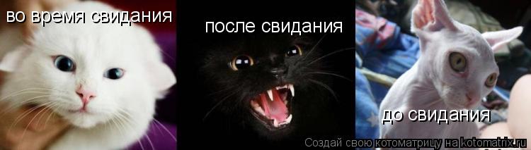 до свидания во время свидания после свидания... Котоматрица: до свидания во время свидания после свидания