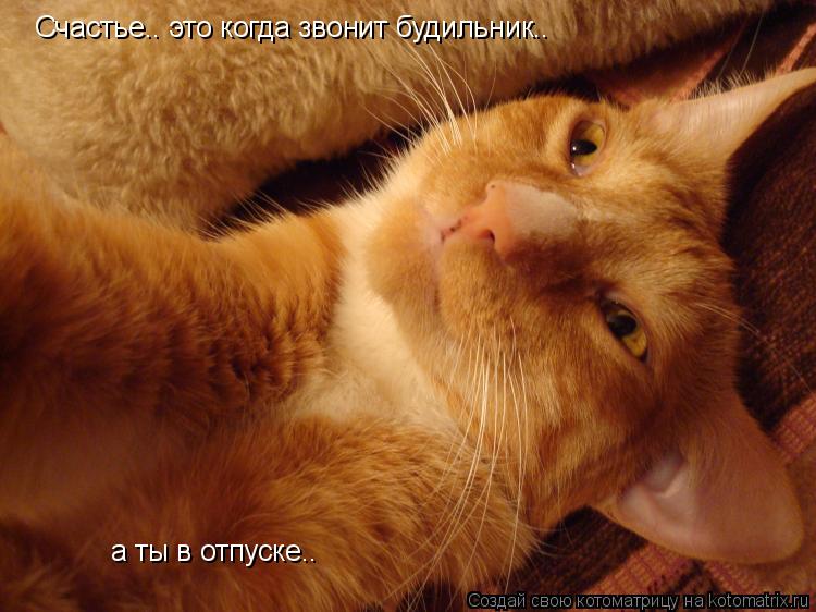Счастье.. это когда звонит будильник.. а ты в отпуске..... Котоматрица: Счастье.. это когда звонит будильник.. а ты в отпуске..