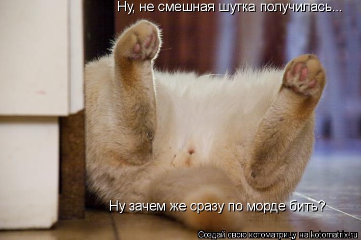 Ну, не смешная шутка получилась... Ну зачем же сразу по морде бить?... Котоматрица: Ну, не смешная шутка получилась... Ну зачем же сразу по морде бить?