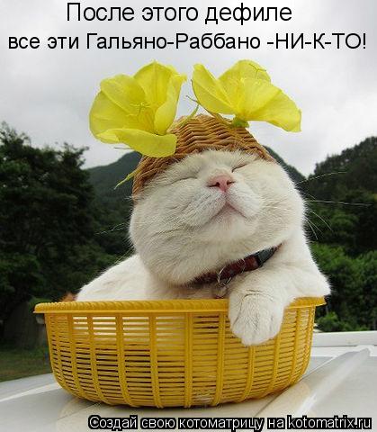 После этого дефиле все эти Гальяно-Раббано -НИ-К-ТО!... Котоматрица: После этого дефиле все эти Гальяно-Раббано -НИ-К-ТО!