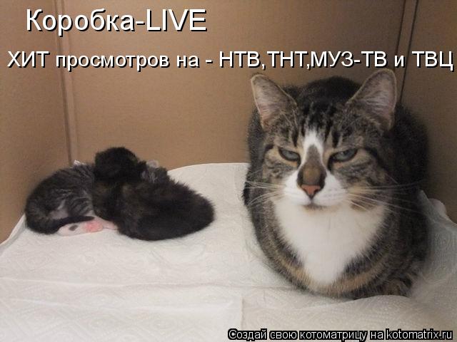 Коробка-LIVE ХИТ просмотров на - НТВ,ТНТ,МУЗ-ТВ и ТВЦ... Котоматрица: Коробка-LIVE ХИТ просмотров на - НТВ,ТНТ,МУЗ-ТВ и ТВЦ