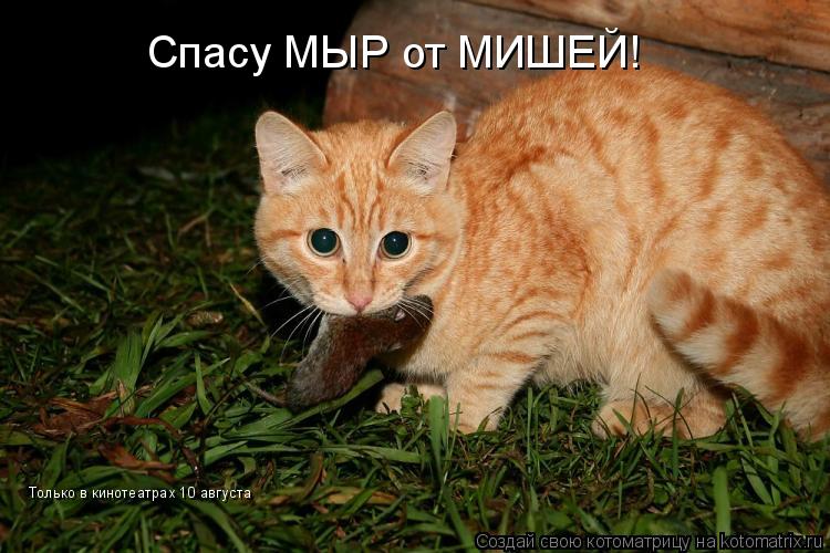 Спасу МЫР от МИШЕЙ! Только в кинотеатрах 10 августа... Котоматрица: Спасу МЫР от МИШЕЙ! Только в кинотеатрах 10 августа