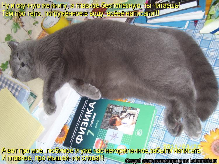 Ну и скучную же книгу, а главное бесполезную, ты читаешь! Там про тело, погружённое в воду, всёёё нап... Котоматрица: Ну и скучную же книгу, а главное бесполезную, ты читаешь! Там про тело, погружённое в воду, всёёё написали!!! И главное, про мышей- ни слова!!! А