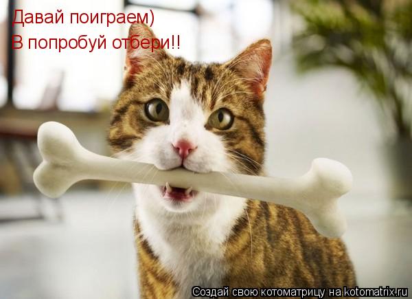 Давай поиграем) В попробуй отбери!!... Котоматрица: Давай поиграем) В попробуй отбери!!