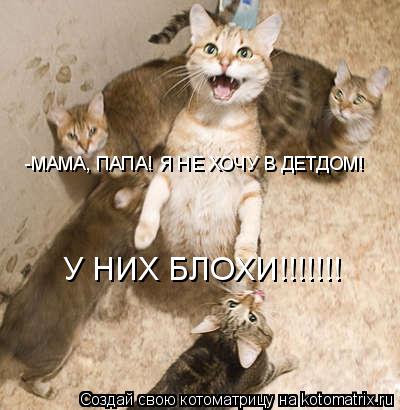 -МАМА, ПАПА! Я НЕ ХОЧУ В ДЕТДОМ! У НИХ БЛОХИ!!!!!!!... Котоматрица: -МАМА, ПАПА! Я НЕ ХОЧУ В ДЕТДОМ! У НИХ БЛОХИ!!!!!!!
