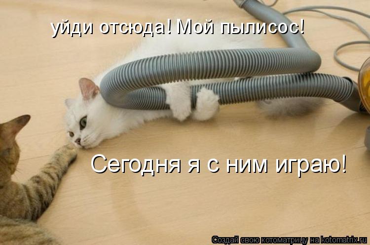 уйди отсюда! Мой пылисос! Сегодня я с ним играю!... Котоматрица: уйди отсюда! Мой пылисос! Сегодня я с ним играю!