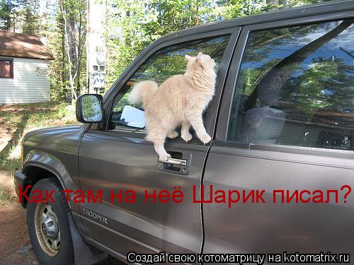 Как там на неё Шарик писал?... Котоматрица: Как там на неё Шарик писал?