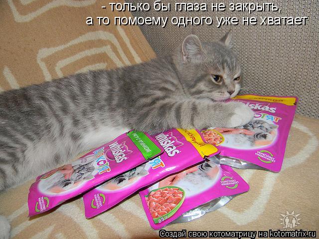 - только бы глаза не закрыть, а то помоему одного уже не хватает... Котоматрица: - только бы глаза не закрыть, а то помоему одного уже не хватает