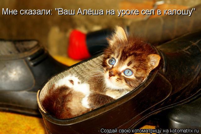 Мне сказали: "Ваш Алёша на уроке сел в калошу"... Котоматрица: Мне сказали: "Ваш Алёша на уроке сел в калошу"
