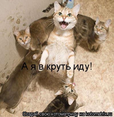 А я в круть иду!... Котоматрица: А я в круть иду!