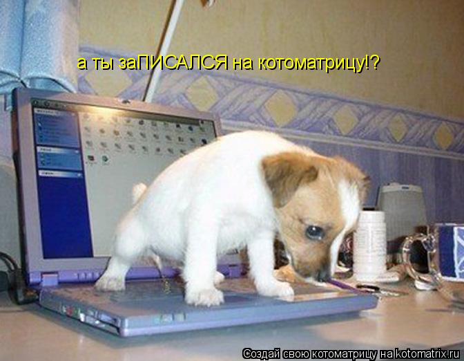 а ты заПИСАЛСЯ на котоматрицу!?... Котоматрица: а ты заПИСАЛСЯ на котоматрицу!?