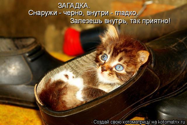 Залезешь внутрь, так приятно! Снаружи - черно, внутри - гладко. ЗАГАДКА. Снаружи - черно, внутри - гл... Котоматрица: Залезешь внутрь, так приятно! Снаружи - черно, внутри - гладко. ЗАГАДКА. Снаружи - черно, внутри - гладко.