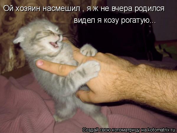 Ой хозяин насмешил , я ж не вчера родился видел я козу рогатую...... Котоматрица: Ой хозяин насмешил , я ж не вчера родился видел я козу рогатую...