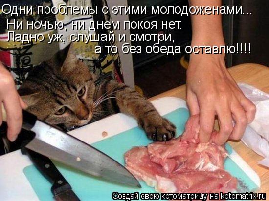 Одни проблемы с этими молодоженами... Ни ночью, ни днем покоя нет. Ладно уж, слушай и смотри, а то ... Котоматрица: Одни проблемы с этими молодоженами... Ни ночью, ни днем покоя нет. Ладно уж, слушай и смотри, а то без обеда оставлю!!!!