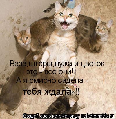 Ваза,шторы,лужа и цветок это - все они!! А я смирно сидела - тебя ждала !!... Котоматрица: Ваза,шторы,лужа и цветок это - все они!! А я смирно сидела - тебя ждала !!