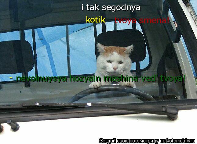 i tak segodnya tvoya smena! nevolnuysya hozyain mashina ved' tvoya! kotik -... Котоматрица: i tak segodnya tvoya smena! nevolnuysya hozyain mashina ved' tvoya! kotik -