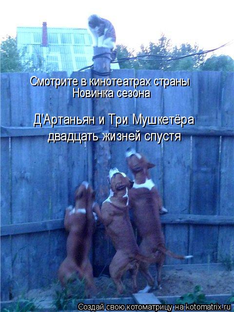 Смотрите в кинотеатрах страны Новинка сезона двадцать жизней спустя Д'Артаньян и Tри Mушкетёра... Котоматрица: Смотрите в кинотеатрах страны Новинка сезона двадцать жизней спустя Д'Артаньян и Tри Mушкетёра