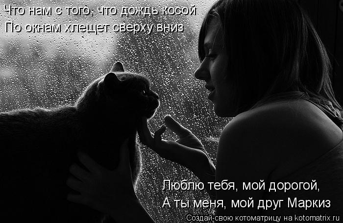 Что нам с того, что дождь косой А ты меня, мой друг Маркиз Люблю тебя, мой дорогой, По окнам хлещет с... Котоматрица: Что нам с того, что дождь косой А ты меня, мой друг Маркиз Люблю тебя, мой дорогой, По окнам хлещет сверху вниз