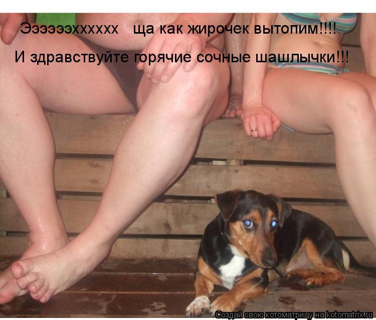 Ээээээхххххх ща как жирочек вытопим!!!! И здравствуйте горячие сочные шашлычки!!!... Котоматрица: Ээээээхххххх ща как жирочек вытопим!!!! И здравствуйте горячие сочные шашлычки!!!