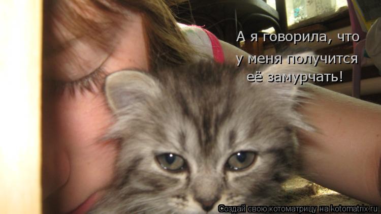 А я говорила, что у меня получится её замурчать!... Котоматрица: А я говорила, что у меня получится её замурчать!
