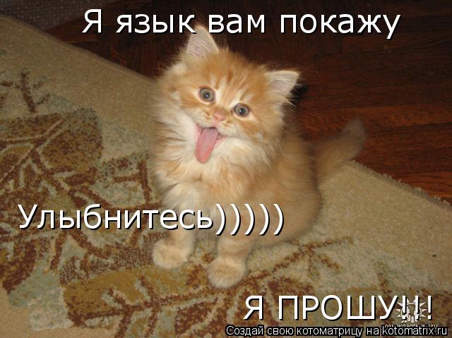 Я язык вам покажу Улыбнитесь))))) Я ПРОШУ!!!... Котоматрица: Я язык вам покажу Улыбнитесь))))) Я ПРОШУ!!!
