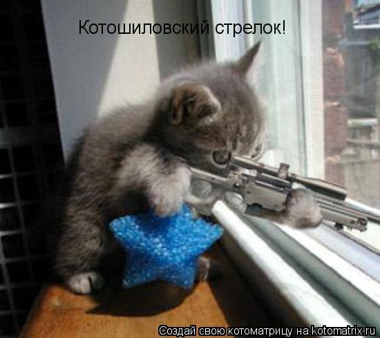 Котошиловский стрелок!... Котоматрица: Котошиловский стрелок!