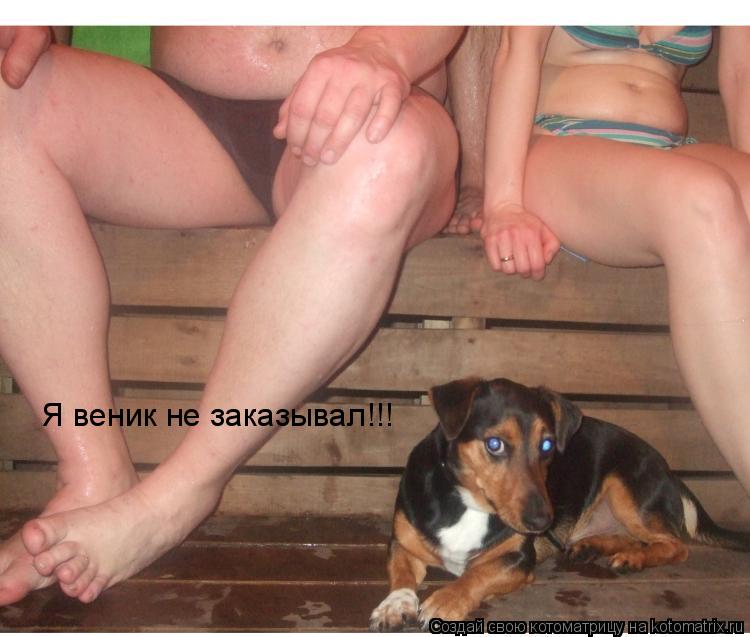Я веник не заказывал!!!... Котоматрица: Я веник не заказывал!!!