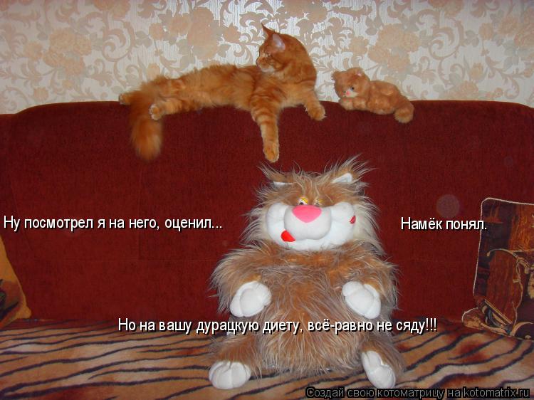 Ну посмотрел я на него, оценил... Намёк понял. Но на вашу дурацкую диету, всё-равно не сяду!!!... Котоматрица: Ну посмотрел я на него, оценил... Намёк понял. Но на вашу дурацкую диету, всё-равно не сяду!!!