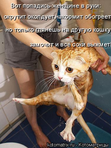 Вот попадись женщине в руки: окрутит околдует,накормит обогреет! но только глянешь на другую кошку- н... Котоматрица: Вот попадись женщине в руки: окрутит околдует,накормит обогреет! но только глянешь на другую кошку- но только глянешь на другую кошку- замоч