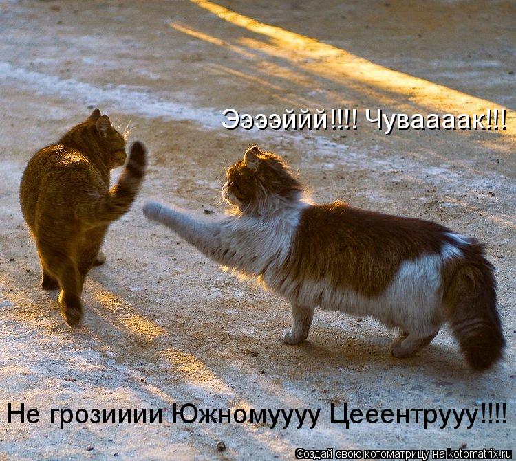 Ээээййй!!!! Чуваааак!!! Не грозииии Южномуууу Цееентрууу!!!!... Котоматрица: Ээээййй!!!! Чуваааак!!! Не грозииии Южномуууу Цееентрууу!!!!