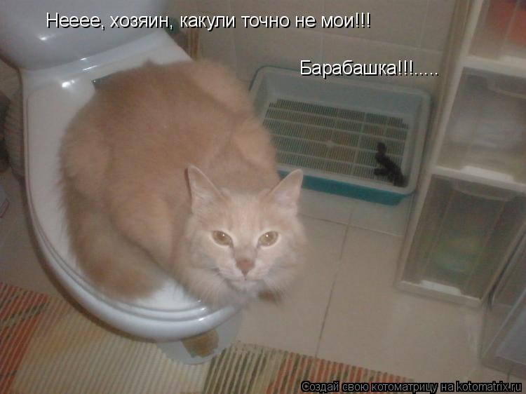 Нееее, хозяин, какули точно не мои!!! Барабашка!!!........ Котоматрица: Нееее, хозяин, какули точно не мои!!! Барабашка!!!.....