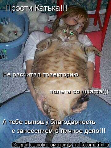 Прости Катька!!! Не расчитал траекторию полета со шкафа((( А тебе выношу благодарность с занесением ... Котоматрица: Прости Катька!!! Не расчитал траекторию полета со шкафа((( А тебе выношу благодарность с занесением в личное дело!!!