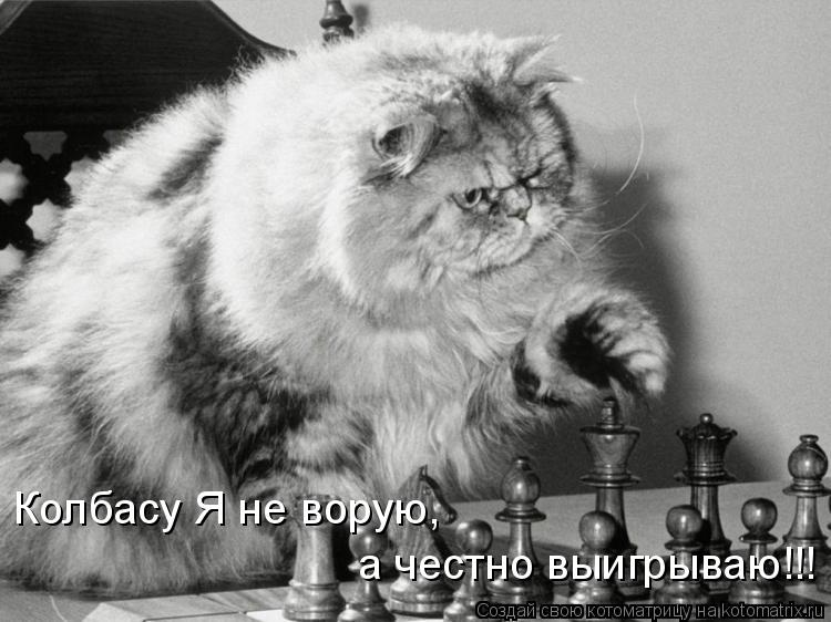 Колбасу Я не ворую, а честно выигрываю!!!... Котоматрица: Колбасу Я не ворую, а честно выигрываю!!!