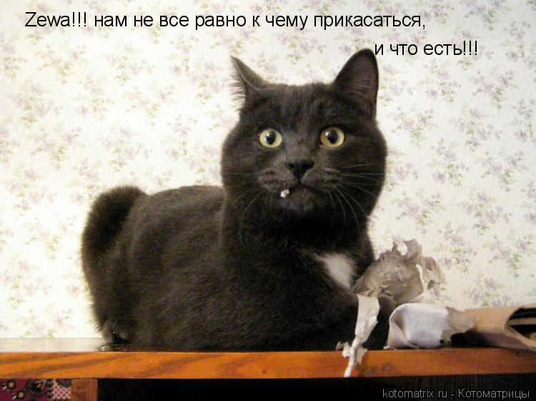Котоматрица: Zewa!!! нам не все равно к чему прикасаться, и что есть!!!