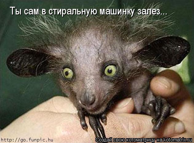 Ты сам в стиральную машинку залез...... Котоматрица: Ты сам в стиральную машинку залез...