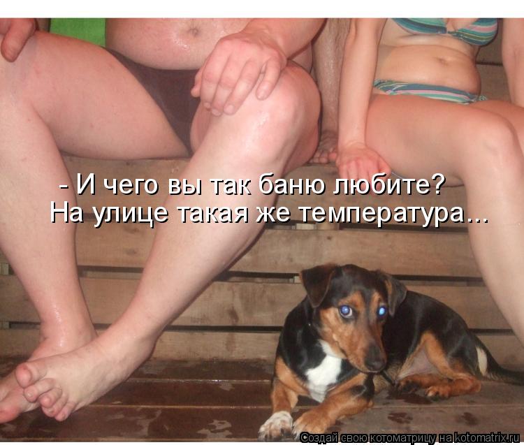 - И чего вы так баню любите? На улице такая же температура...... Котоматрица: - И чего вы так баню любите? На улице такая же температура...