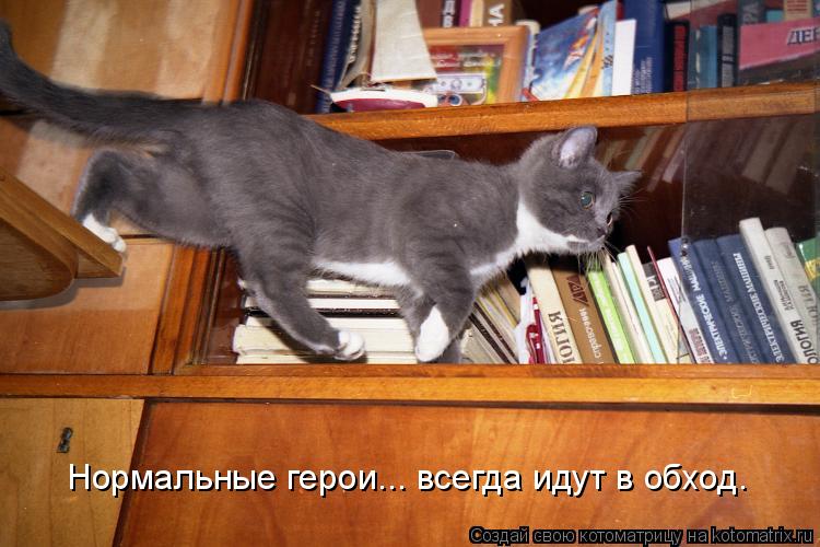 Нормальные герои... всегда идут в обход.... Котоматрица: Нормальные герои... всегда идут в обход.