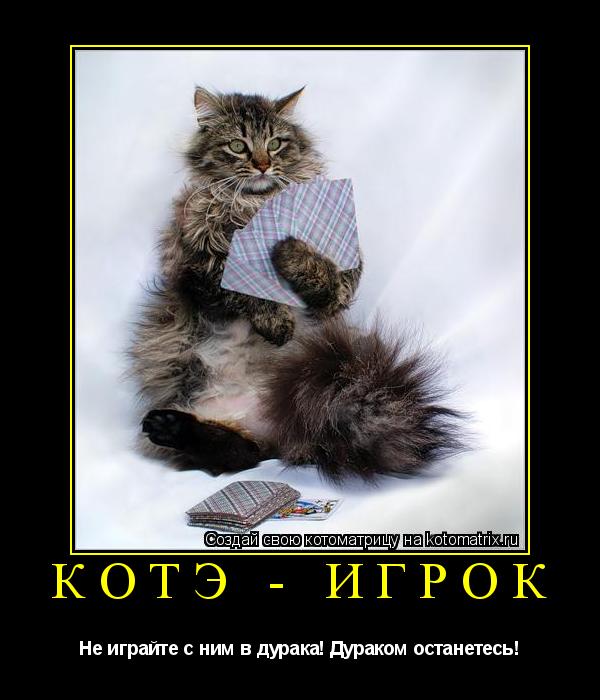 Котэ - игрок Не играйте с ним в дурака! Дураком останетесь!... Котоматрица: Котэ - игрок Не играйте с ним в дурака! Дураком останетесь!