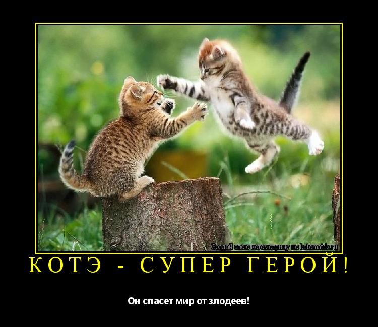 Котэ - Супер Герой! Он спасет мир от злодеев!... Котоматрица: Котэ - Супер Герой! Он спасет мир от злодеев!