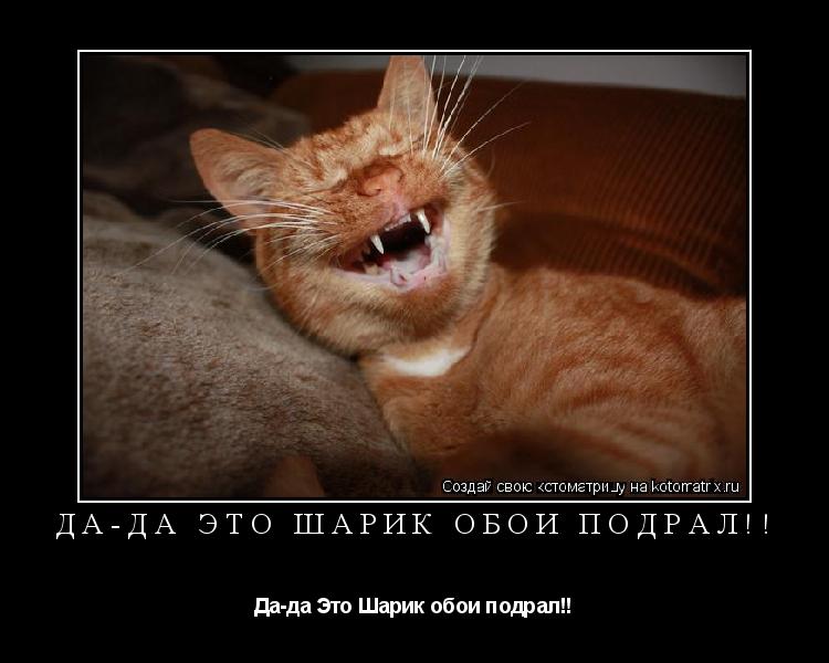 Котоматрица: Да-да Это Шарик обои подрал!! Да-да Это Шарик обои подрал!!