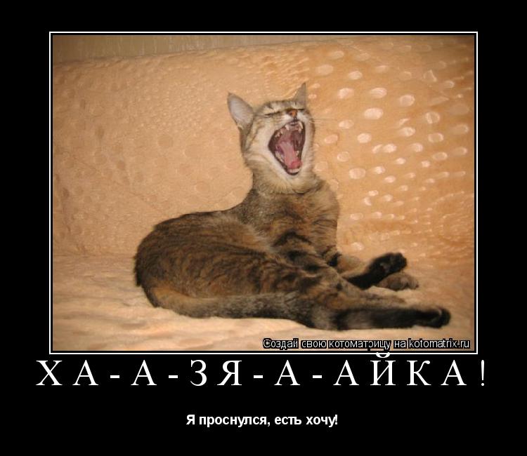 Ха-а-зя-а-айка! Я проснулся, есть хочу!... Котоматрица: Ха-а-зя-а-айка! Я проснулся, есть хочу!