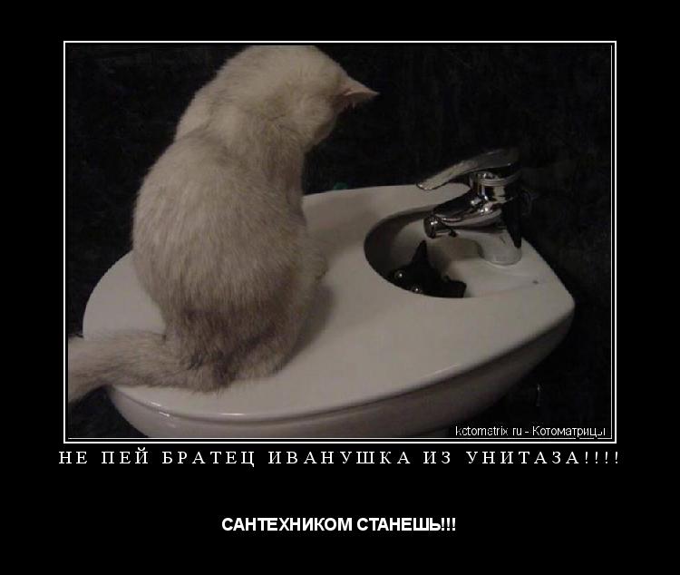 НЕ ПЕЙ БРАТЕЦ ИВАНУШКА ИЗ УНИТАЗА!!!! САНТЕХНИКОМ СТАНЕШЬ!!!... Котоматрица: НЕ ПЕЙ БРАТЕЦ ИВАНУШКА ИЗ УНИТАЗА!!!! САНТЕХНИКОМ СТАНЕШЬ!!!