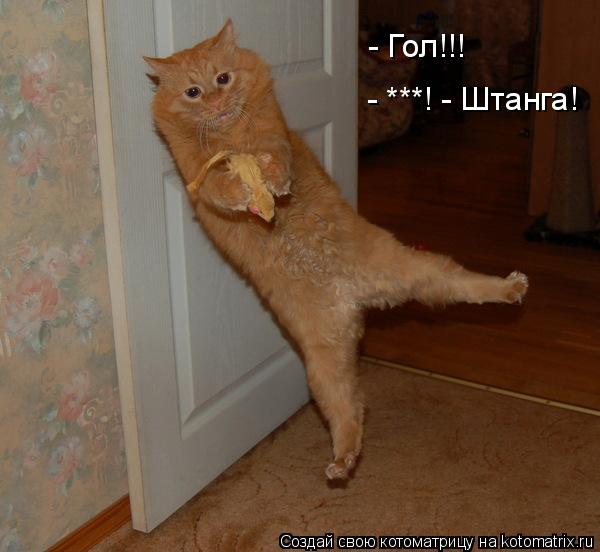 - Гол!!! - ***! - Штанга!... Котоматрица: - Гол!!! - ***! - Штанга!
