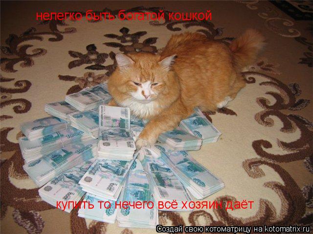 нелегко быть богатой кошкой купить то нечего всё хозяин даёт... Котоматрица: нелегко быть богатой кошкой купить то нечего всё хозяин даёт
