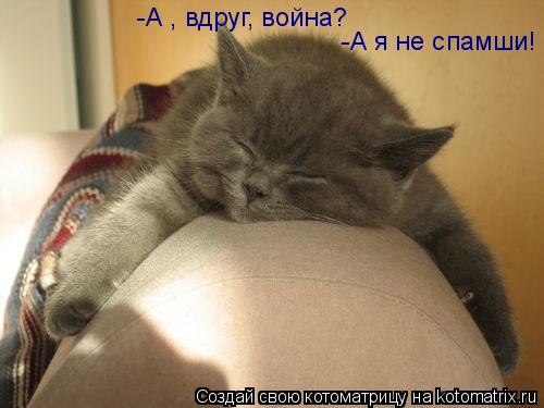 -А , вдруг, война? -А я не спамши!... Котоматрица: -А , вдруг, война? -А я не спамши!